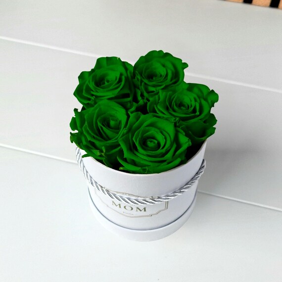 Real Roses That Keep Fresh Look for 2+ Years - 5 Stabilized Emerald Green Roses in White Box, Luxury Flowers, Host Gifts, Housewarming Gifts