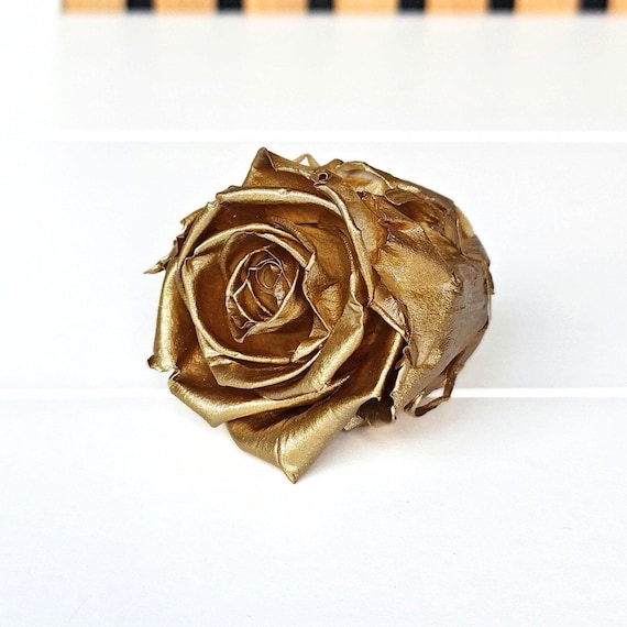 6 XL Preserved Roses: Ecuadorian Kiara Gold Rose Heads - DIY Crafts