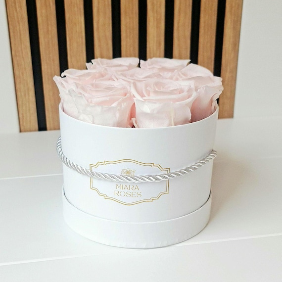 Real Roses Stabilized, Longevity: 2+ Years, 7 Light Pink Roses in Round Box, Cozy Present, Unique Gift for Her, Home Decor Accent