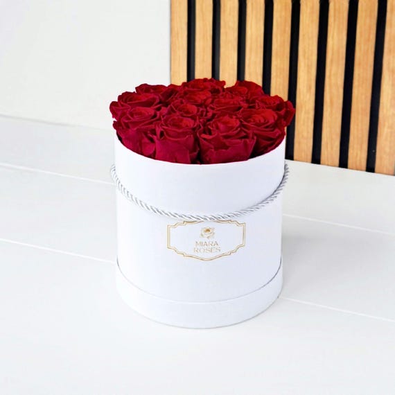 Best Custom Gift, 12 Preserved Real Roses, Stay Fresh for 2+ Years in Round Box, Luxury Flowers, Elegant Floral Home Decor Gift, Minimalism