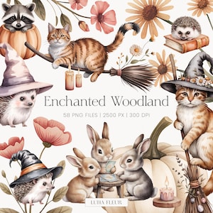 Könnte beinhalten: Aquarellillustration mit Waldtieren und floralen Elementen. Das Bild zeigt einen Waschbären, Katzen, Igel und Hasen, alle mit einem magischen Thema. Der Text lautet "Enchanted Woodland".