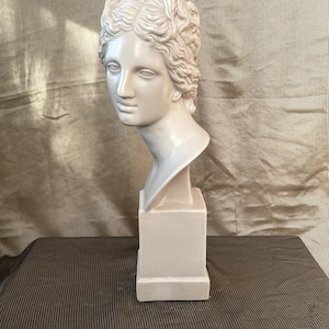 Venus de Medici Bust: Renaissance Molded Marble Sculpture (49cm)