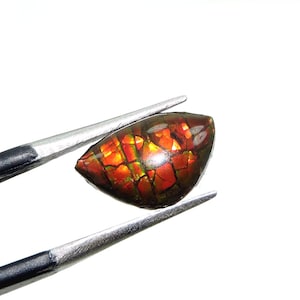 Natural Ammolite Gemstone Cabochon: Iridescent Fossil Gem for Jewelry