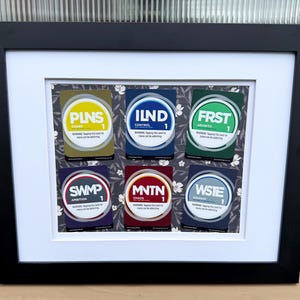 May include: A black framed wall art piece featuring six rectangular game cards arranged in two rows. The cards display the text PLNS, ILND, FRST, SWMP, MNTN, and WSTE with associated colors and sub-text, set against a dark floral patterned background.