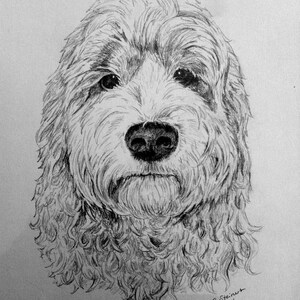 Custom PET pencil sketch/portrait