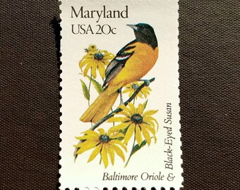 maryland state bird etsy