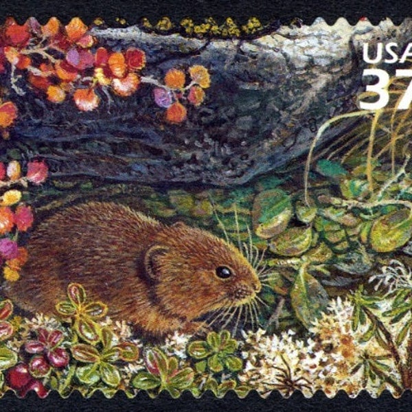 One 1 Singing Vole 37c stamp // Arctic Tundra (5th Nature of America sheet) // 37 cent stamp