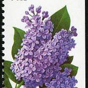 Una lila de 29 centavos - Flor de jardín de primavera // Sello postal antiguo sin usar de 29 centavos
