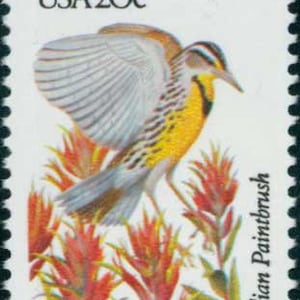 Cinq 5 timbres-poste vintage inutilisés - Oiseau et fleur de l'État du Wyoming 20 c // Timbres 20 cents // Valeur faciale 1,00