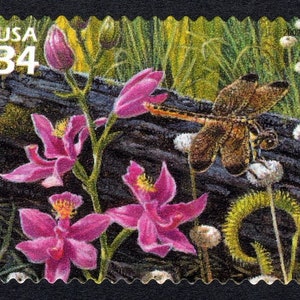 One 1 Grass-pink Orchid, Yellow-sided Skimmer, Pipeworts 34c stamp // Longleaf Pine Forest (4th Nature of America sheet) // 34 cent stamp