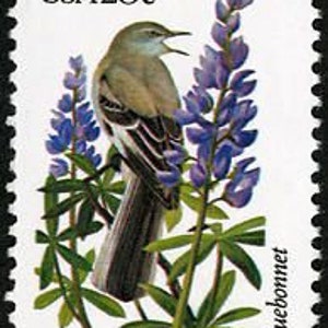 Cinco aves y flores del estado de Texas: sinsonte, lupino azul, 20 c // sellos postales antiguos sin usar, sellos de 20 centavos // Valor nominal 1,00
