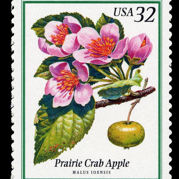 One 1  Flowering trees, prairie crab apple 32c // unused flower postage stamps // 32 cent stamps