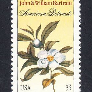 May include: A vintage US postage stamp featuring a botanical illustration of a white flower with a yellow center and green leaves. The stamp is titled "John & William Bartram American Botanists" and features the text "USA" and "33" in the bottom corners. The stamp also includes the text "Franklinia alatamaha" in the bottom right corner.