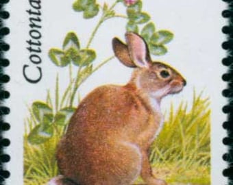 北極ウサギ ウサギ イースターバニー 動物 1999年 33セント 未使用切手