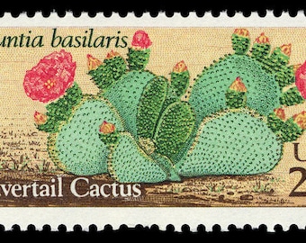 5 x vintage 1981 Beavertail cactus 20c stamps // Desert plants // vintage unused 20 cent postage stamps // Face value 1.00