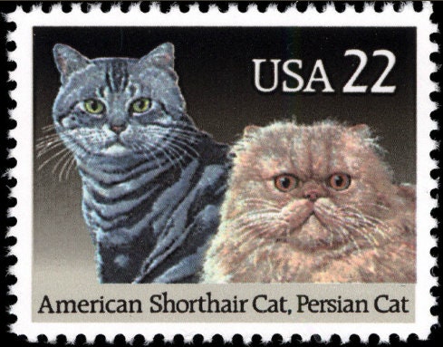 12 Vintage Cat Stamps Pet Cats Unused Vintage Kitty Postage Stamps for  Mailing