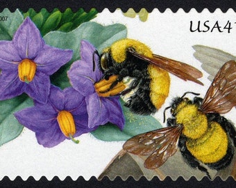 One (1) unused postage stamps - Pollination: Purple Nightshade and Morrison's Bumblebee 41c // 41 cent stamp