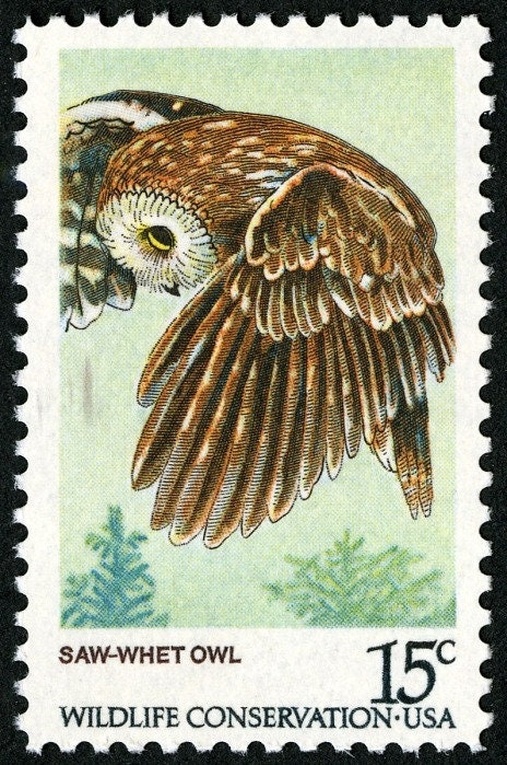 Five Vintage Saw-Whet Owl 15 Cent Stamps - Unused Postage - face value 0.75