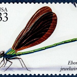 May include: A US postage stamp featuring a green and brown dragonfly with the text "USA 33" and "Ebony jewelwing" printed on the stamp.