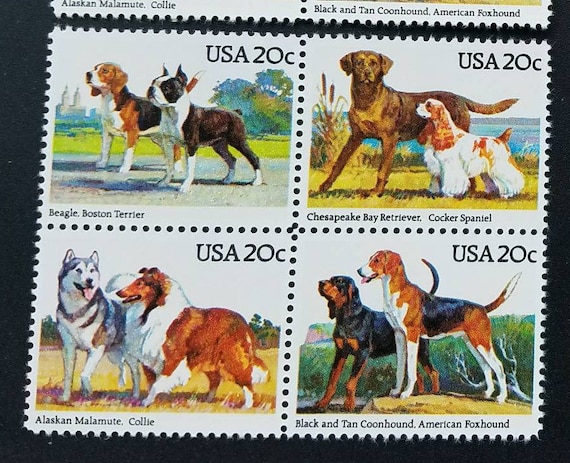 DOGS POSTAGE STAMP CHESAPEAKE BAY RETRIEVER & COCKER SPANIEL ON A U.S