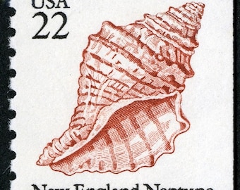 May include: A red and white 22-cent postage stamp featuring a brown New England Neptune seashell with the text "USA 22" and "New England Neptune".