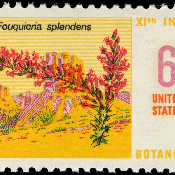 Five 5 vintage unused postage stamps - Botanical congress 1969 Fouquieria splendens ocotillo 6c // 6 cent stamps // Face value 0.30