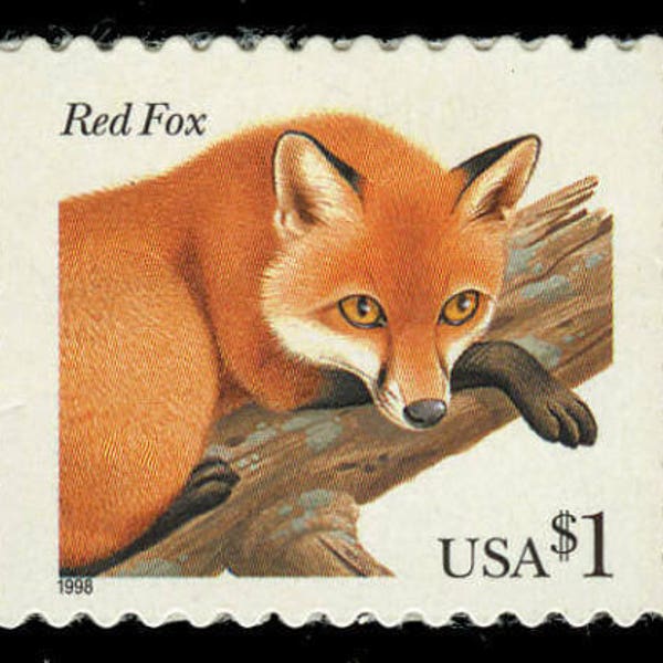 Vintage unused postage stamps - Red fox // 1 dollar stamp // Face value 1.00