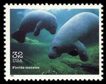 Five 5 vintage unused postage stamps - Endangered species Florida manatee 32c // 32 cent stamps // Face value 1.60