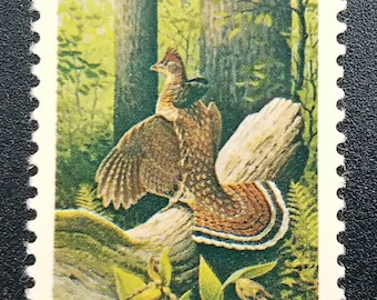 ハワイ宣教師ホノルルマウイオアフコナカウアイ4Diff200237c未使用郵便