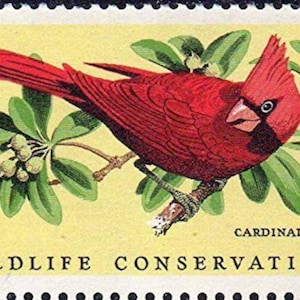 Cinco sellos postales antiguos sin usar - Conservación de la vida silvestre Cardenal rojo 8c // Sellos de 8 centavos // Valor nominal 0,40