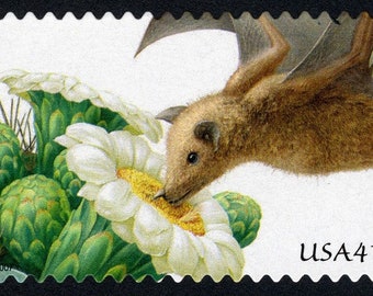 One (1) unused postage stamps - Pollination: Saguaro and Lesser Longnosed Bat 41c // 41 cent stamp