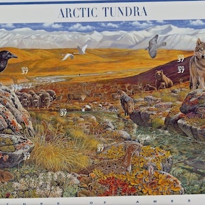 May include: A postage stamp depicting the Arctic tundra, featuring a variety of wildlife. The scene includes a raven, wolves, bears, and other animals in a landscape of rocks, water, and vegetation. The text "ARCTIC TUNDRA" is at the top.