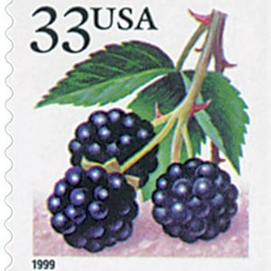 May include: A 33 cent USA postage stamp featuring a close-up of three blackberries on a vine with green leaves. The stamp is dated 1999.