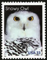 Five 5 Snowy owl 33c unused postage stamps // 33 cent stamps // Face value 1.65