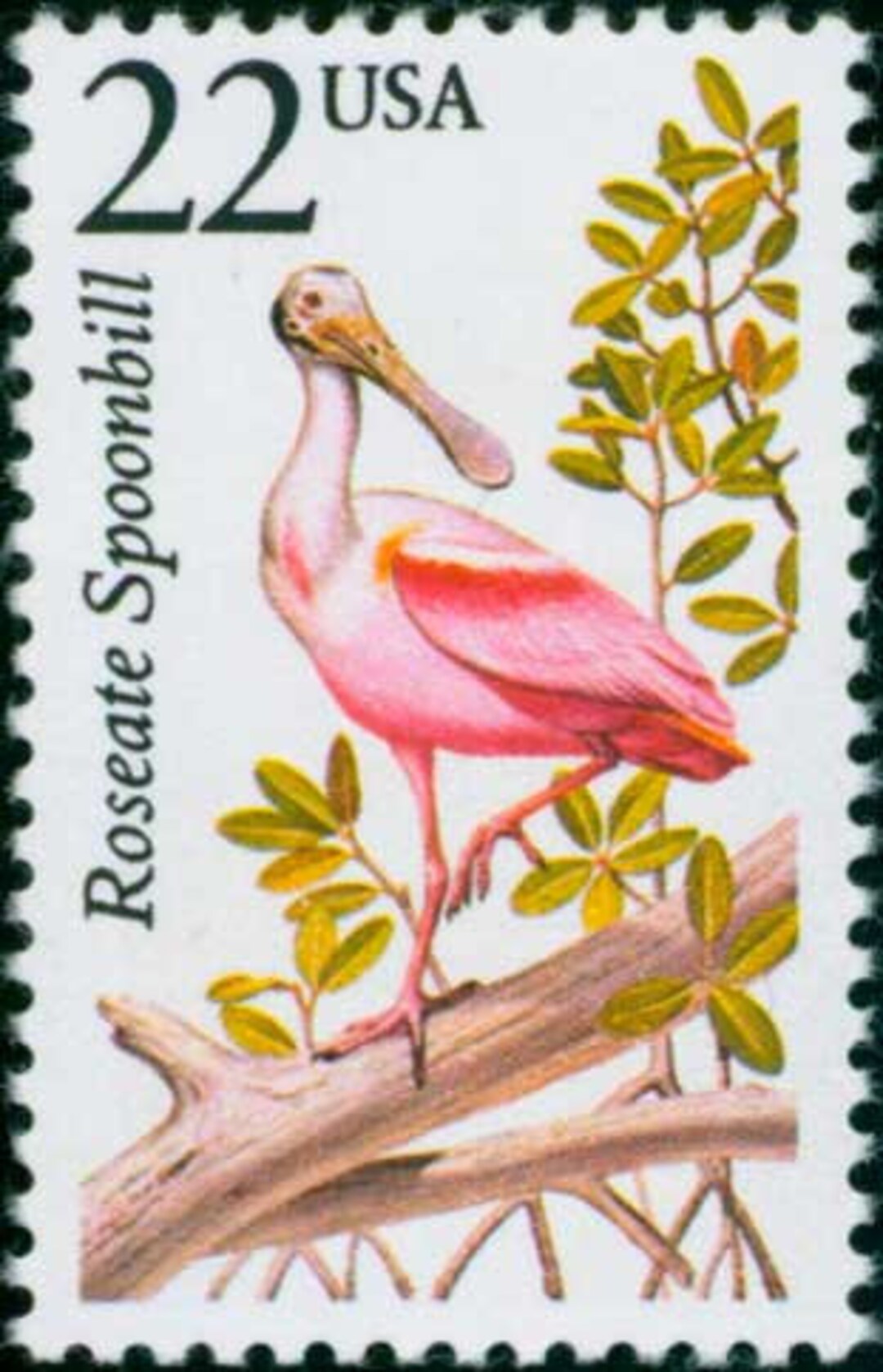 One 1 Roseate Spoonbill 22c Stamp // North American Wildlife // Vintage ...