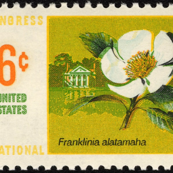 Five 5 vintage unused postage stamps - Botanical congress 1969 - Franklinia alatamaha 6c // 6 cent stamps // Face value 0.30