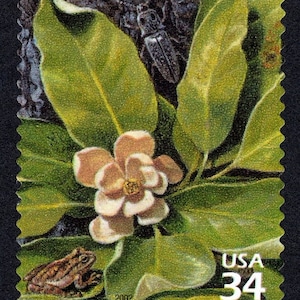 May include: A vintage US postage stamp featuring a white magnolia flower with a brown frog and a beetle on a green leaf background. The stamp is from 2002 and has a value of 34 cents.