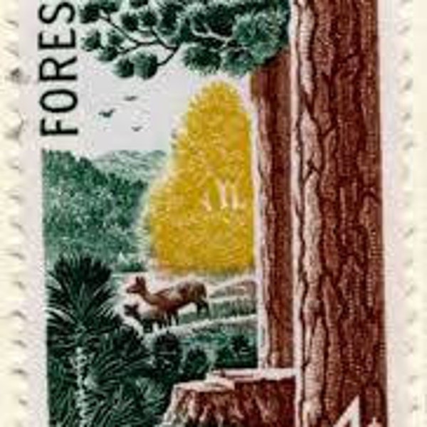 Five 5 vintage unused postage stamps - Forest conservation 4c // 4 cents stamps // Face value 0.20