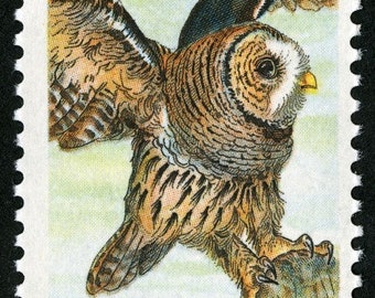 Barred Owl 15c stamp // vintage unused 15 cent postage stamp