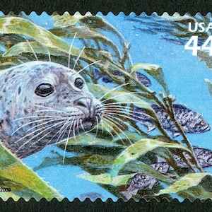 One 1 Harbor Seal 44c // Kelp Forest 44c (11th Nature of America sheet) // 44 cent stamp