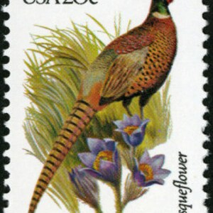 Fünf 5 vintage unbenutzte Briefmarken - Süddakota Vogel und Blume 20c // 20 Cent Briefmarken // Nennwert 1,00