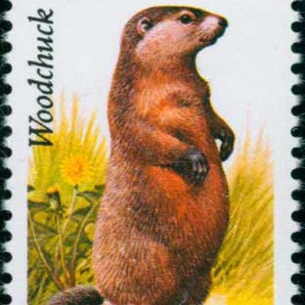 Five 5 vintage unused postage stamps - North American Wildlife, Woodchuck 22c // 22 cent stamps // Face value 1.10
