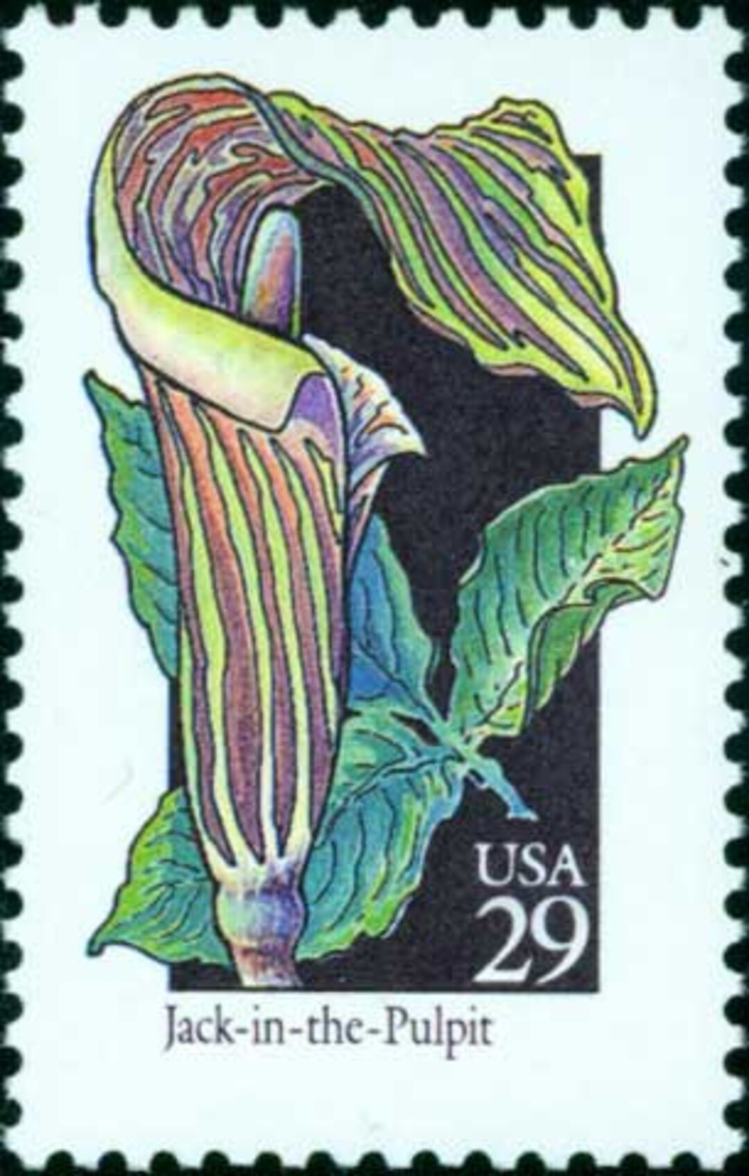 Jack-in-the-pulpit Vintage 29 Cent Stamps - Wildflower Postage (set of ...