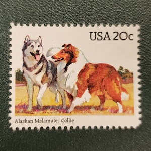 Pięć znaczków 5 Alaskan Malamute, Collie 20 centów // Znaczki 20 centów z psami // Nominał 1,00
