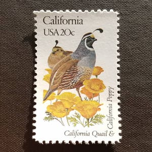 Cinco sellos postales antiguos sin usar de 20 centavos de California con aves y flores de 20 c. Valor nominal 1,00