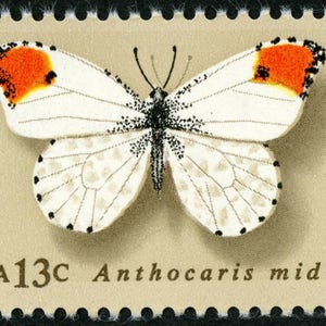 May include: A vintage US postage stamp featuring a white butterfly with orange wing tips. The stamp is labeled "USA 13c" and "Orange-Tip Anthocaris midea".