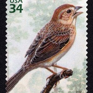 One 1 Bachman&#39;s Sparrow 34c stamp // Longleaf Pine Forest (4th Nature of America sheet) // 34 cent stamp