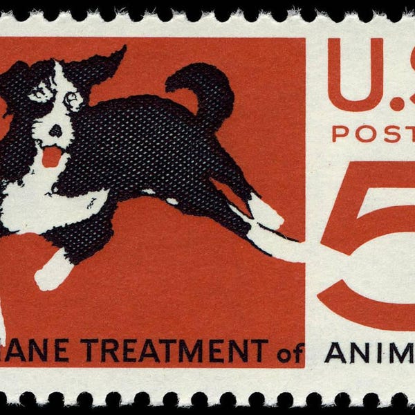 Five 5 vintage unused postage stamps - Humane treatment of animals 5c // 5 cent stamps // Face value 0.25