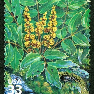 One 1 Dwarf Oregongrape 33c // Pacific Coast Rain Forest 33c (2nd Nature of America sheet) // 33 cent stamp