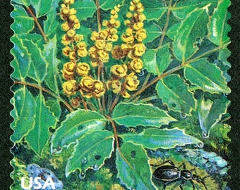 One 1 Dwarf Oregongrape 33c // Pacific Coast Rain Forest 33c (2nd Nature of America sheet) // 33 cent stamp